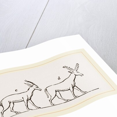 Animals from Egyptian sculptures by Anonymous