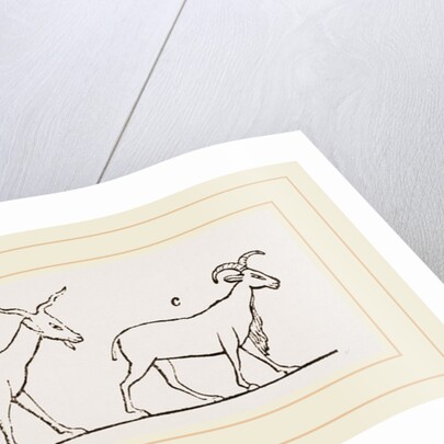 Animals from Egyptian sculptures by Anonymous