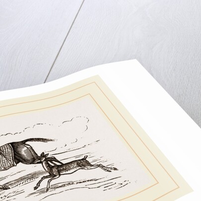 Fa1low-Deer and Horses by Anonymous