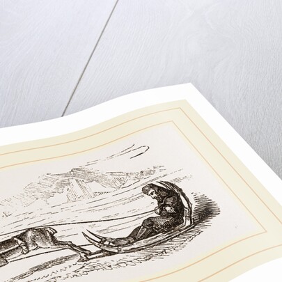 Rein-Deer harnessed to a Sledge by Anonymous