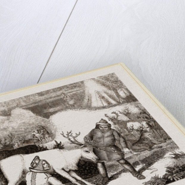 MilAing the Rein-Deer by Anonymous