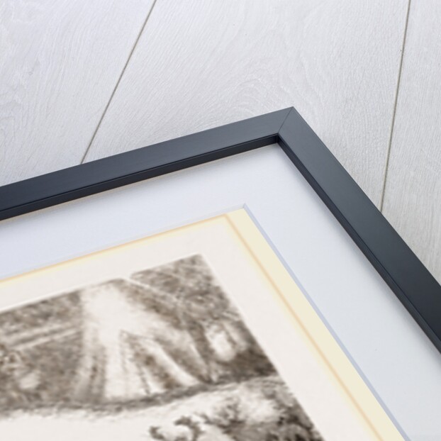 MilAing the Rein-Deer by Anonymous