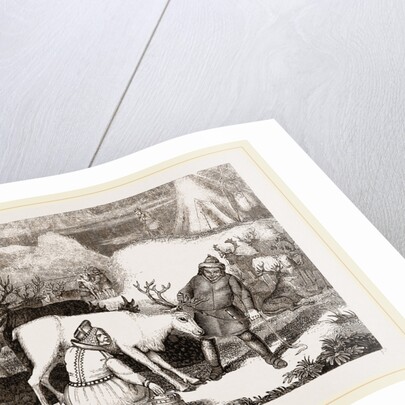 MilAing the Rein-Deer by Anonymous