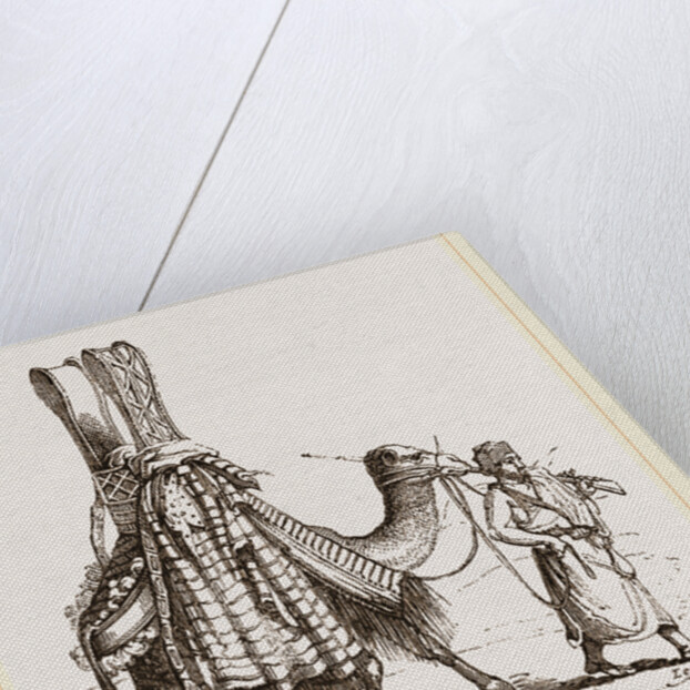 Camel carrying a Bride by Anonymous