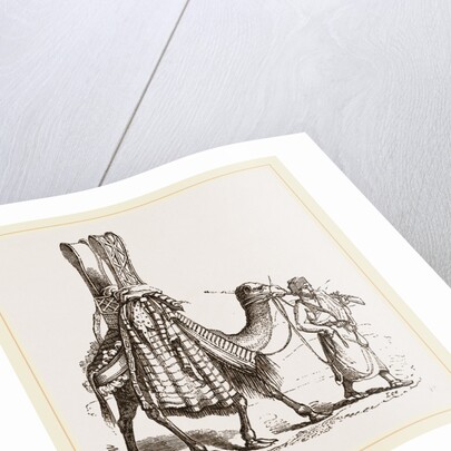 Camel carrying a Bride by Anonymous