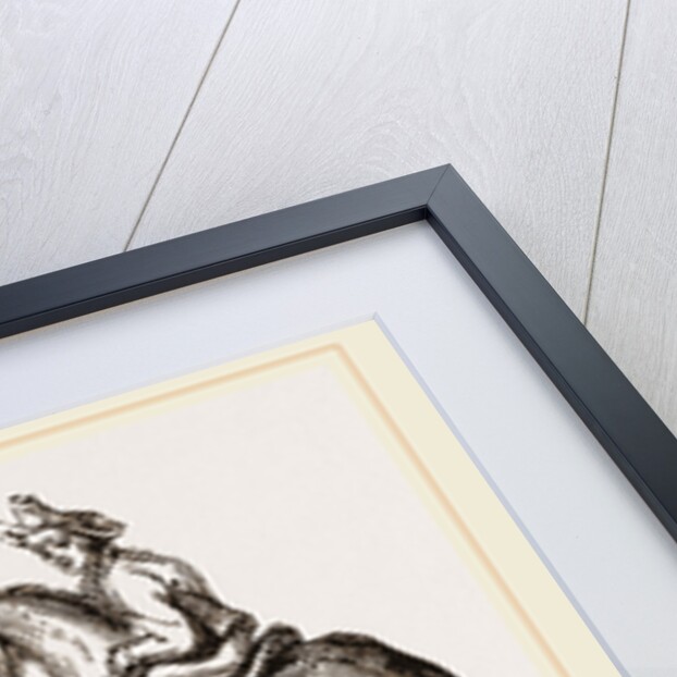 Camel and Horse by Anonymous