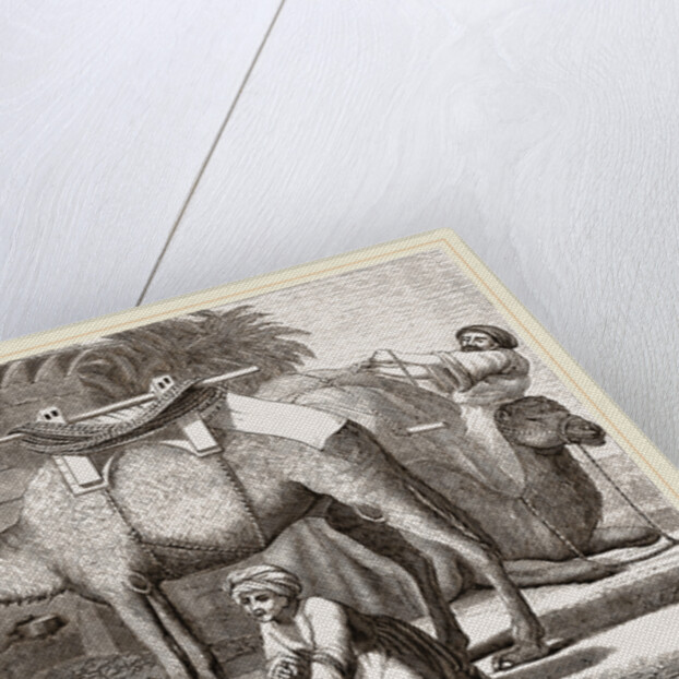 Loading the Camel by Anonymous