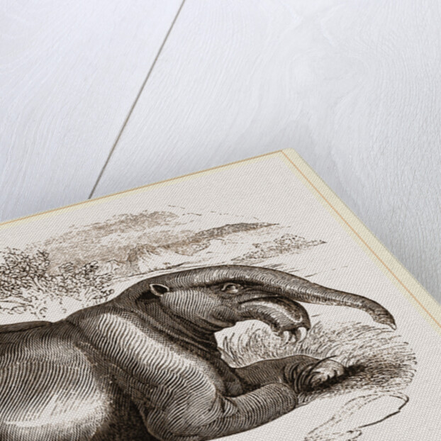 Dinotherium by Anonymous