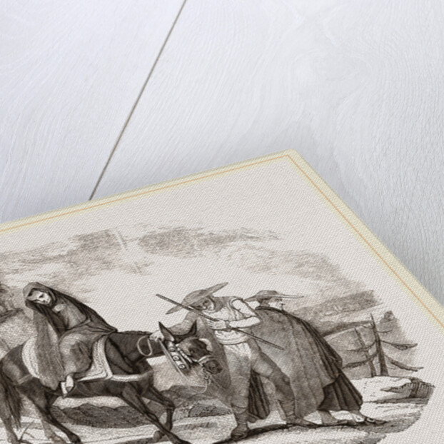 Mules by Anonymous