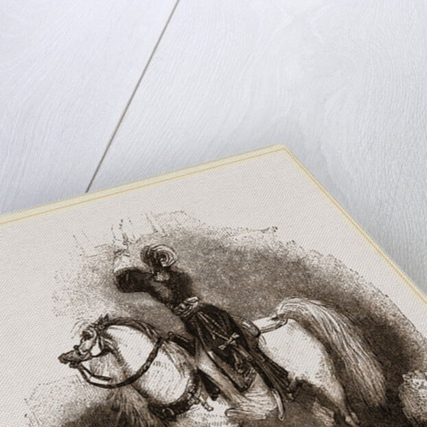 Arabian Horse by Anonymous
