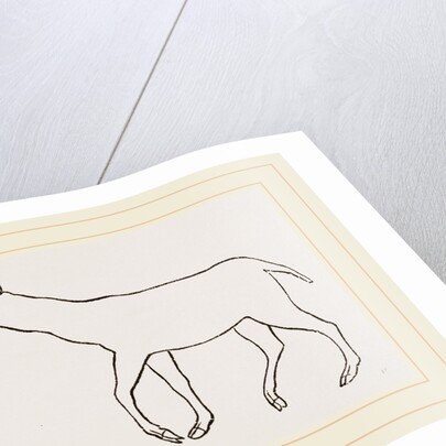 Anoplotherium by Anonymous