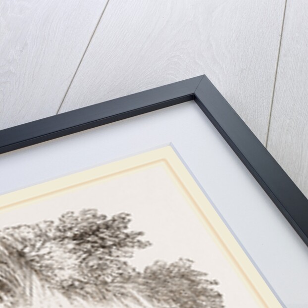 African Rhinoceros by Anonymous