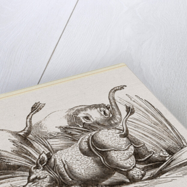 Elephant attacked by a Rhinoceros by Anonymous