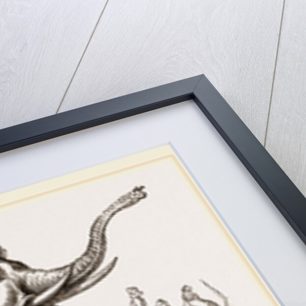 Wild Elephant left after having been bound by Anonymous