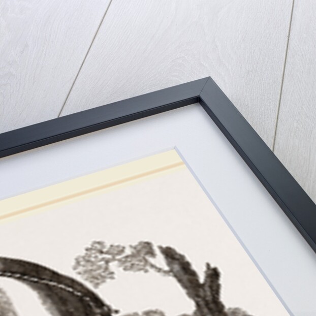 Elephant harnessed in a keddah by Anonymous