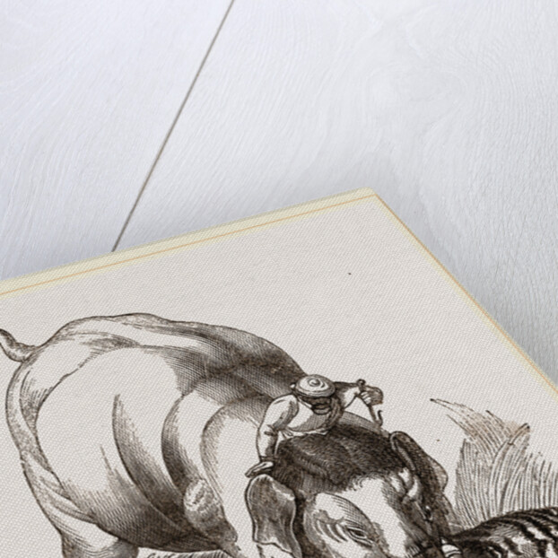 Elephant pinning a Tiger by Anonymous