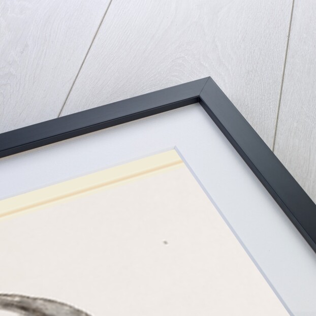 Elephant pinning a Tiger by Anonymous