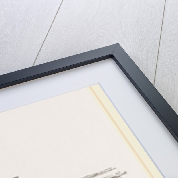 Scene exhibited at the Adelphi Theatre, Elephant by Anonymous