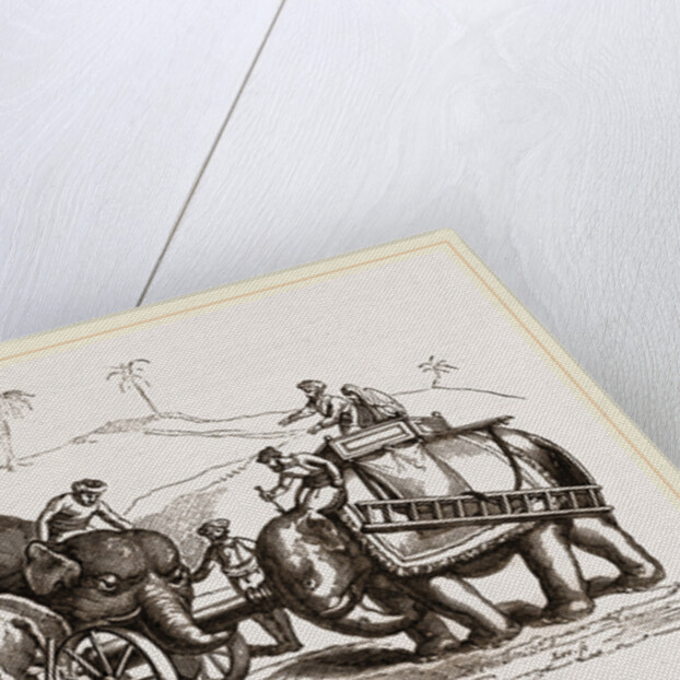 Elephants conveying Artillery through bad roads by Anonymous