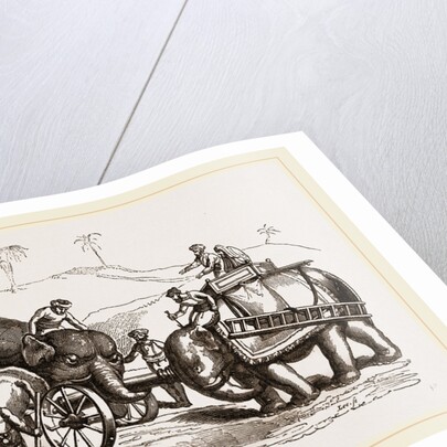 Elephants conveying Artillery through bad roads by Anonymous