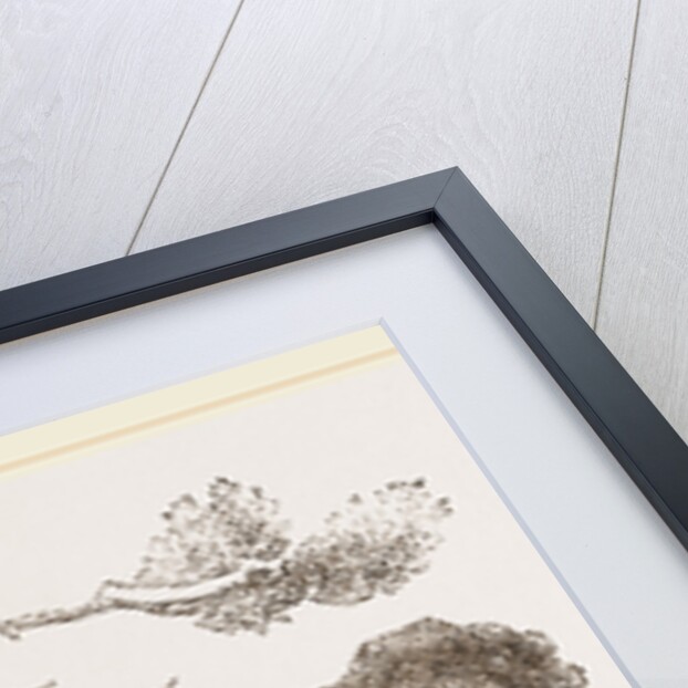 Elephant browsing by Anonymous