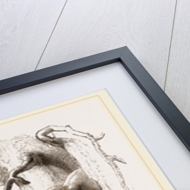 Young elephants browsing by Anonymous