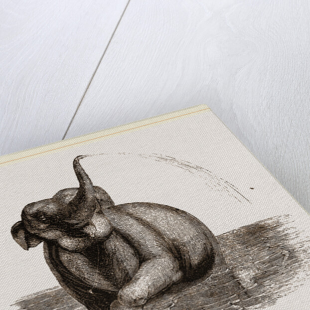 Elephant of the Jardin des Plantes by Anonymous