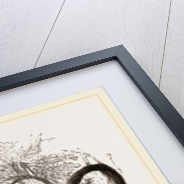 Cuvier's Lagotis by Anonymous