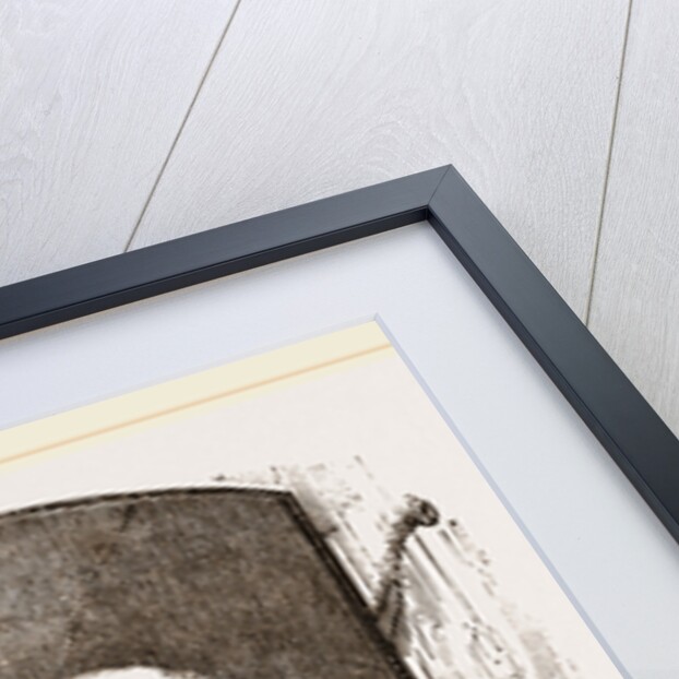 Common Mouse by Anonymous