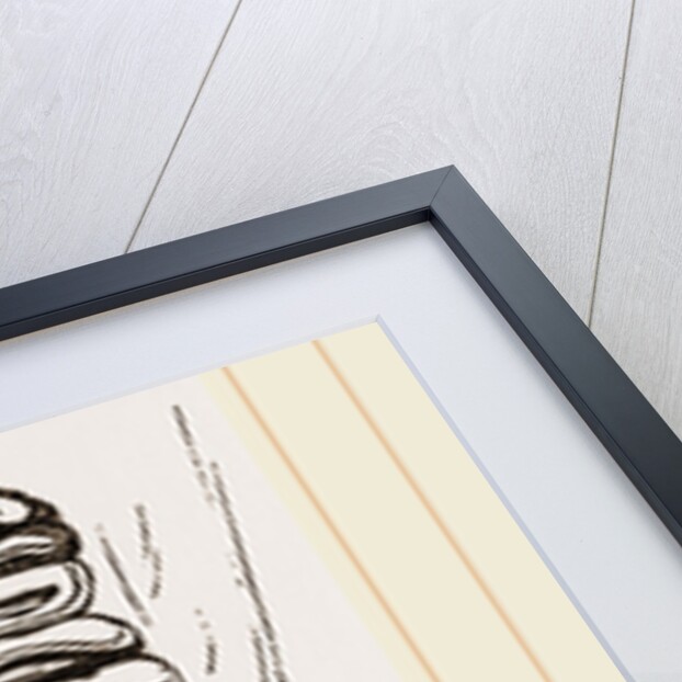 Teeth of Dormouse by Anonymous