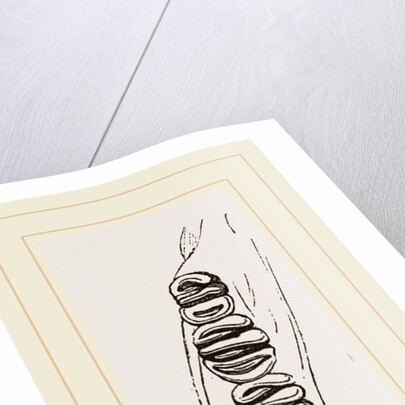 Teeth of Dormouse by Anonymous