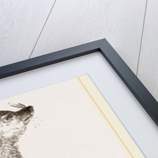 Flocky Lemur by Anonymous