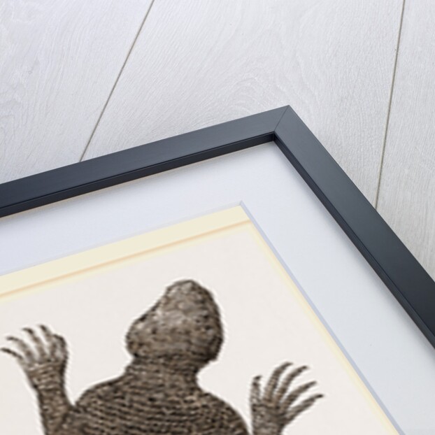 Spiny Agama by Anonymous