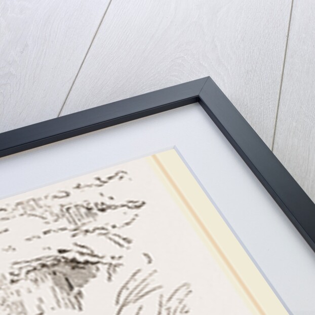 Viviparous Lizards by Anonymous