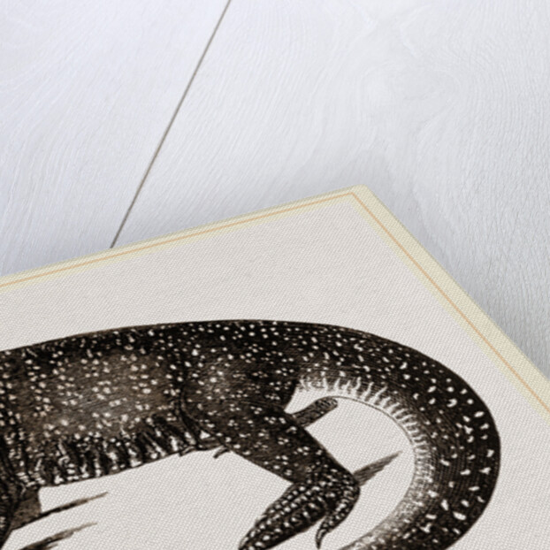 Teguixin by Anonymous