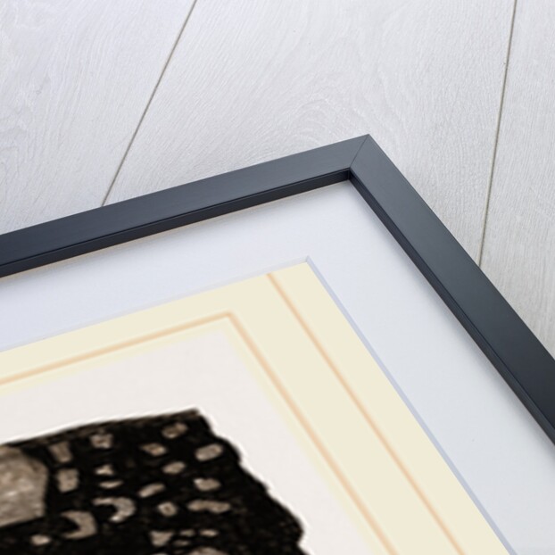 Head of Teguixin by Anonymous