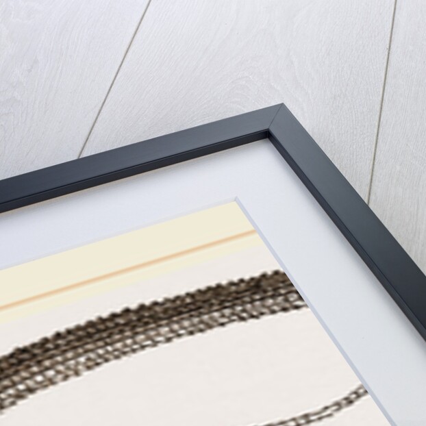 Four-toed Snake-Lizard by Anonymous