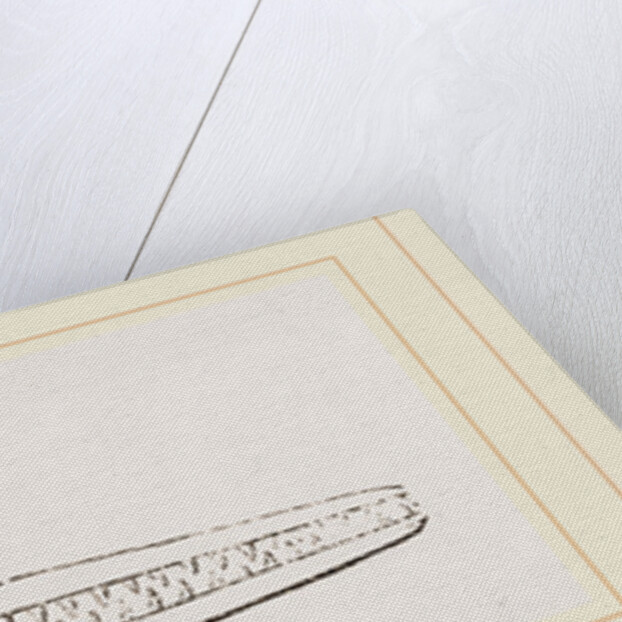 Upper Skull of Ichthyosaurus by Anonymous