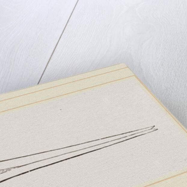 Upper Skull of Ichthyosaurus by Anonymous