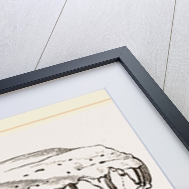 Head of Sommering's Geosaurus by Anonymous