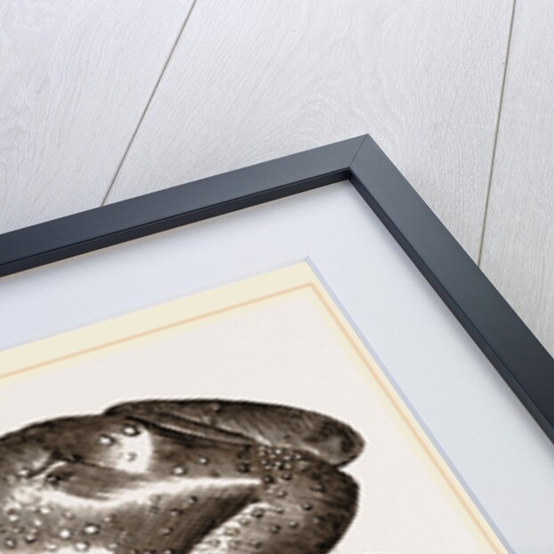 Common Toad by Anonymous