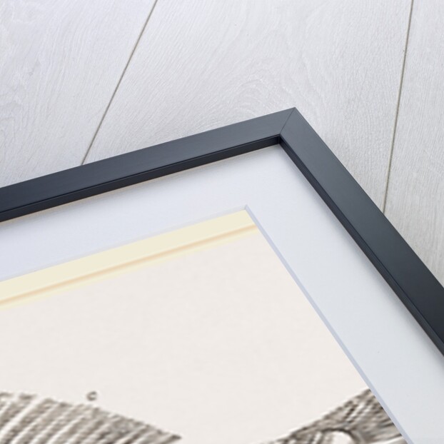 Slieleton of Perch by Anonymous