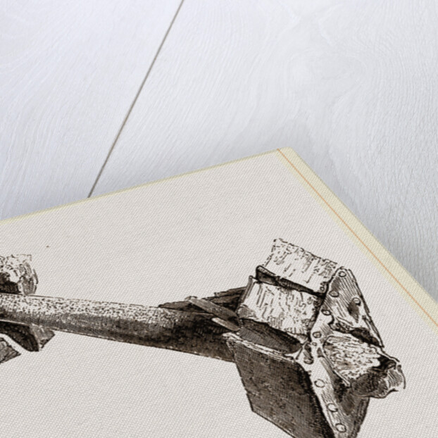 Tusk of Sword-fish driven into timbers a ship by Anonymous