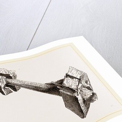 Tusk of Sword-fish driven into timbers a ship by Anonymous