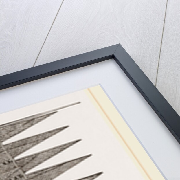 Stage-Net by Anonymous