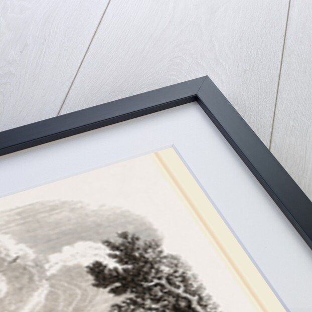 Coleraine Salmon-leap on the Bann, Northern Ireland by Anonymous