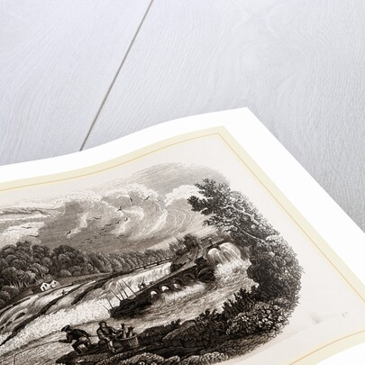 Coleraine Salmon-leap on the Bann, Northern Ireland by Anonymous