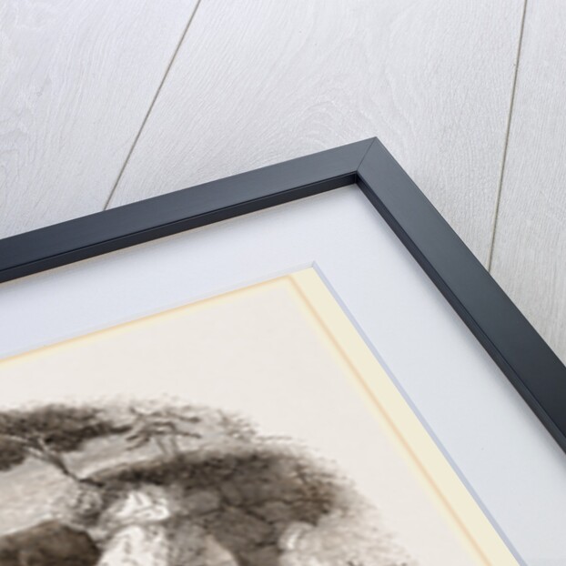 Chippeway Indian fishing USA America by Anonymous