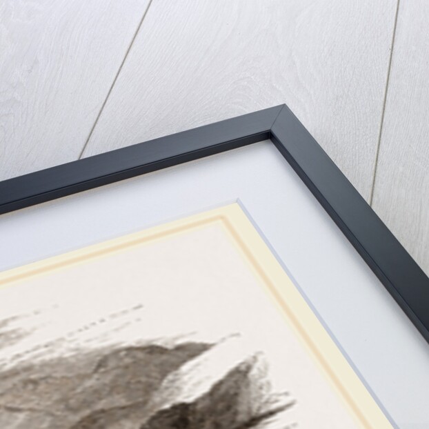 Northern Char by Anonymous