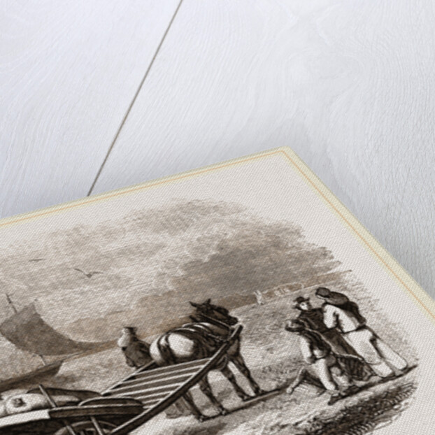 Yarmouth Beach-cart with Fish, UK by Anonymous